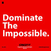 DOMINATE THE IMPOSSIBLE