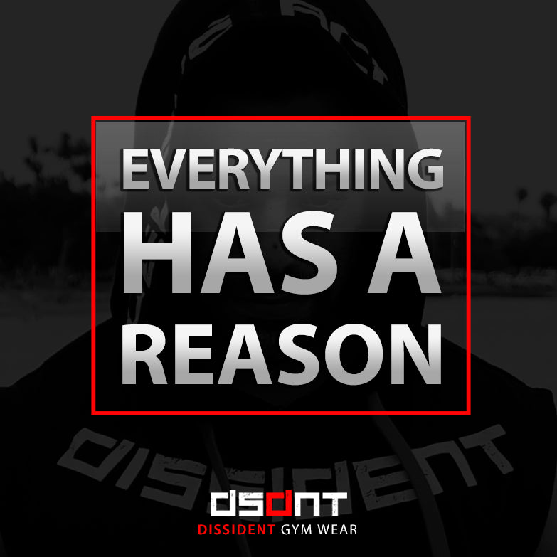 EVERYTHING HAS REASON