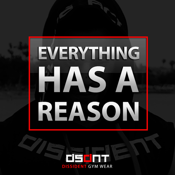 EVERYTHING HAS REASON