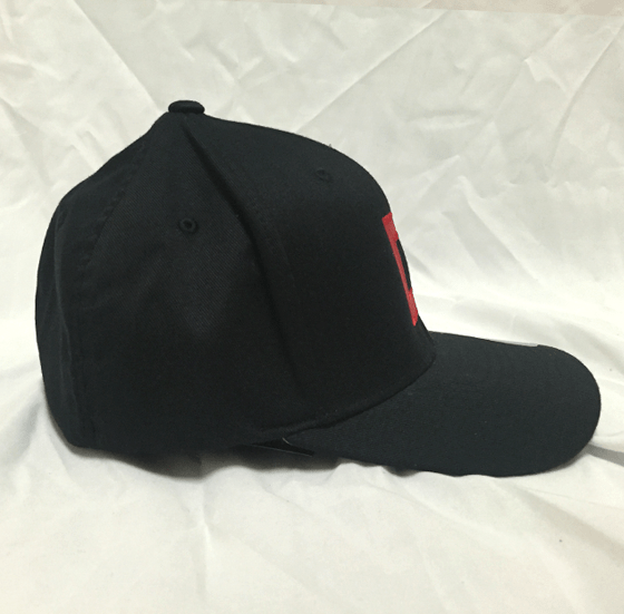 Dissident D FlexFit Curved Bill