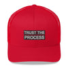 Trust The Process Hat - RED