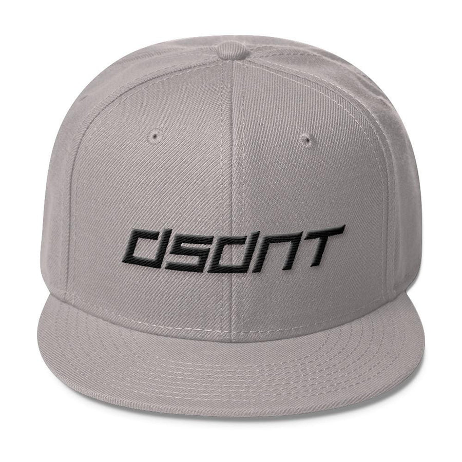 Snapback - DSDNT - Grey